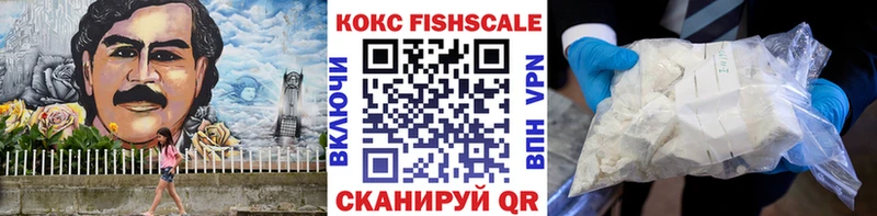 COCAIN Fish Scale  кракен вход  darknet Telegram  Петровск 