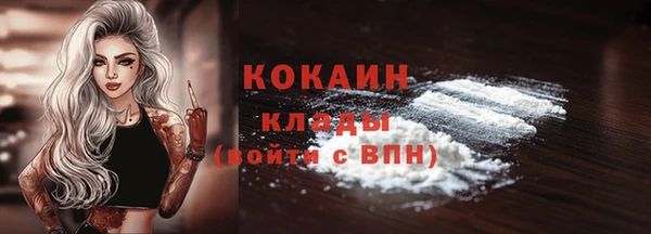 амф Великий Новгород