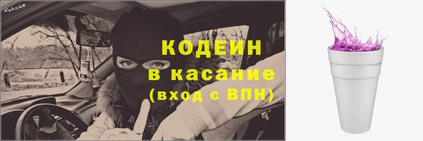 мдпв Тобольск