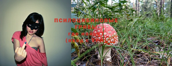 бошки Лихославль