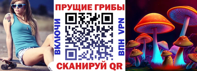 как найти   Петровск  ОМГ ОМГ ТОР  Галлюциногенные грибы Cubensis 