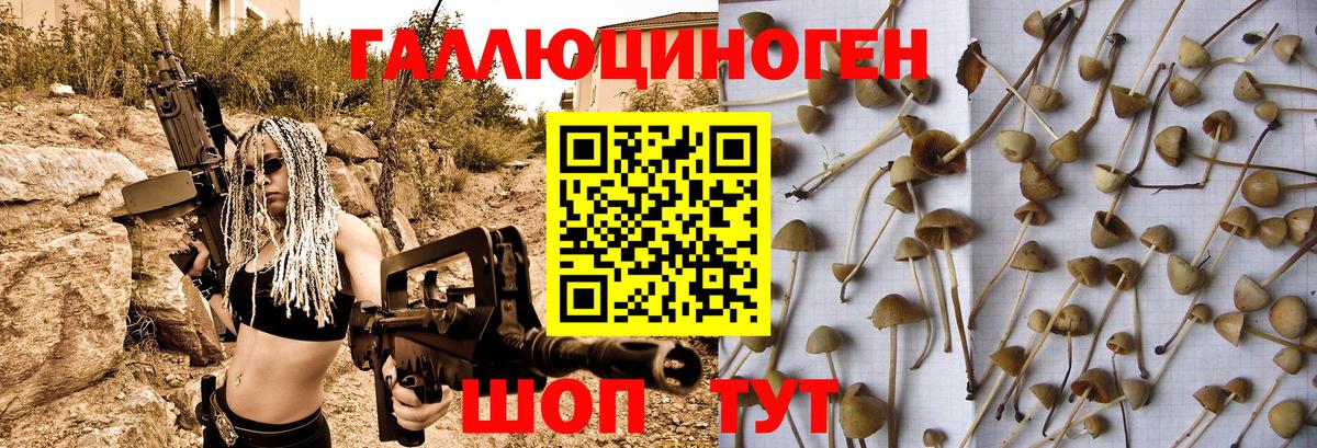 Галлюциногенные грибы Magic Shrooms  Вход с VPN  Петровск 